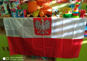 flaga Polski