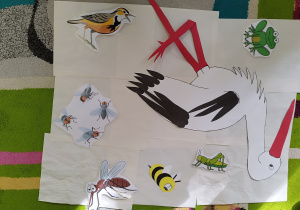 ilustracje wydrukowanych zwierząt i owadów: bocian, żaba, komar, muchy, skowronek, pszczoła