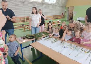 dzieci wraz z rodzicami przyklejają trawy do kartonu