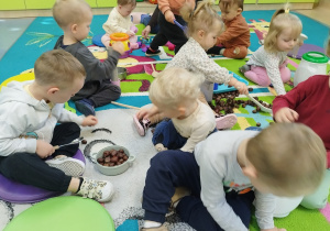 dzieci siedzą na dywanie bawią się kasztanami