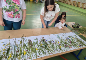 wykonana przez rodziców i dzieci praca plastyczna "majowa łąka"