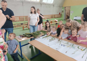 dzieci wraz z rodzicami przyklejają trawy do kartonu