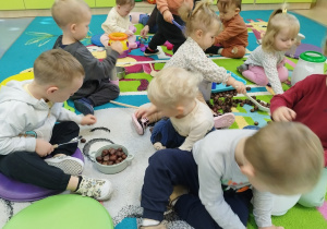 dzieci siedzą na dywanie bawią się kasztanami