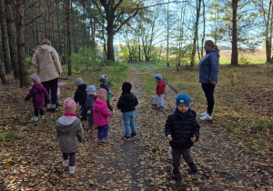 dzieci wraz z opiekunkami spacerują po lesie