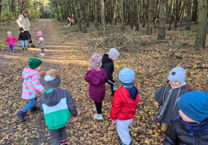 dzieci stoją w lesie, niektóre biegają, opiekunka spaceruje w oddali z dziećmi