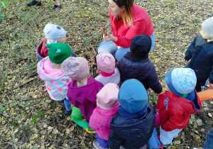 dzieci patrzą na trzymanego przez opiekunkę grzybka