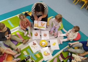 wszyscy siedzą na dywanie, na dywanie leżą też ilustracje przedstawiające cykl życia kury