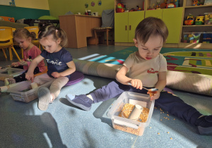 chłopiec sypie do kubeczka groch , obok dziewczynki sypią kaszą