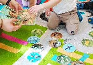 chłopiec wybiera obrazek z dywanu, dziewczynka patrzy