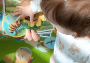 dziecko pokazuje palcem wybrany obrazek