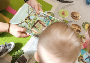 dzieci siedzą wokół obrazków rozsypanych na dywanie, opiekunka trzyma dużyo brazek