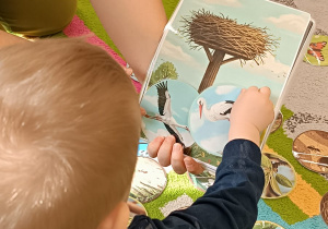 chłopiec dopasowuje wybrany przez siebie obrazek do tego trzymanego przez opiekunkę