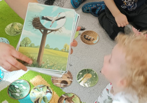 opiekunka pokazuje duży obrazek i małe wybrane przez dzieci