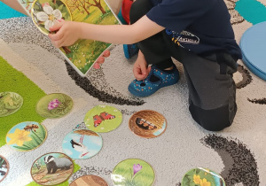 chłopiec dpokazuje wybrany przez siebie mały obrazek do dużego trzymanego przez opiekunkę