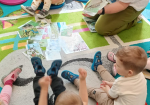 opiekunka pokazuje ilustracje przedstawiającą skowronka