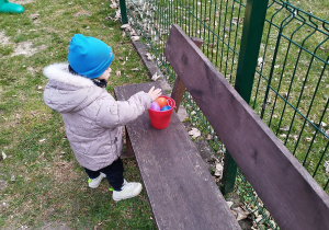 chłopiec wkłada znalezione jajko do wiaderka