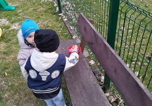 chłopiec wkłada znalezione jajko do wiaderka