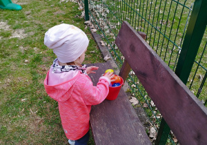 dziewczynka wkłada znalezione jajko do wiaderka