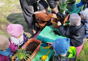 dzieci siedzą przy stolikach, przed nimi stoją doniczki z ziemią, opiekunka sadzi kwiatki